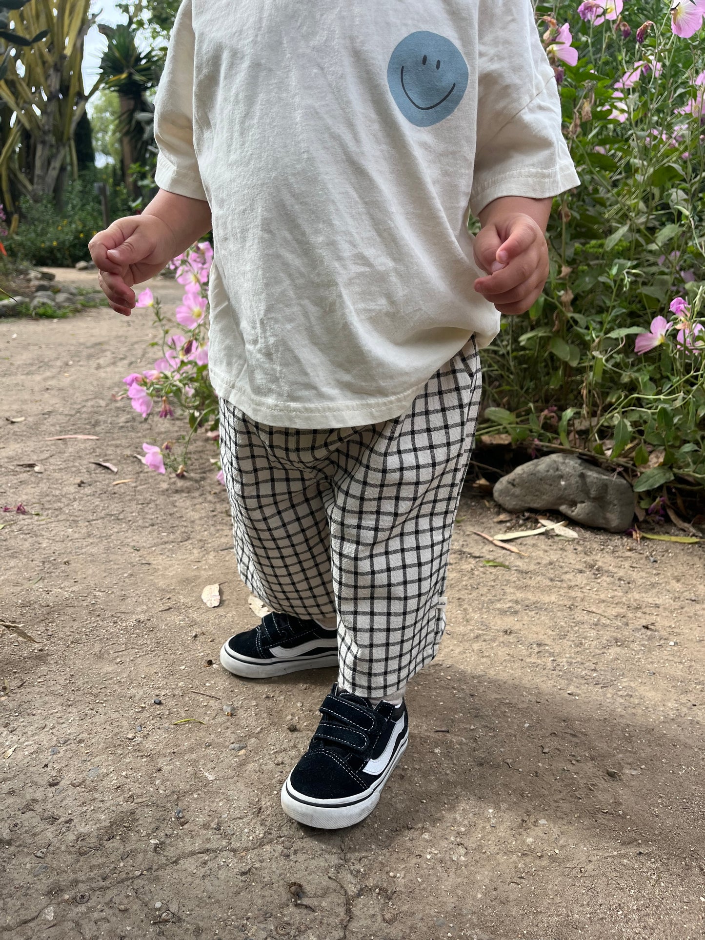Check Pants
